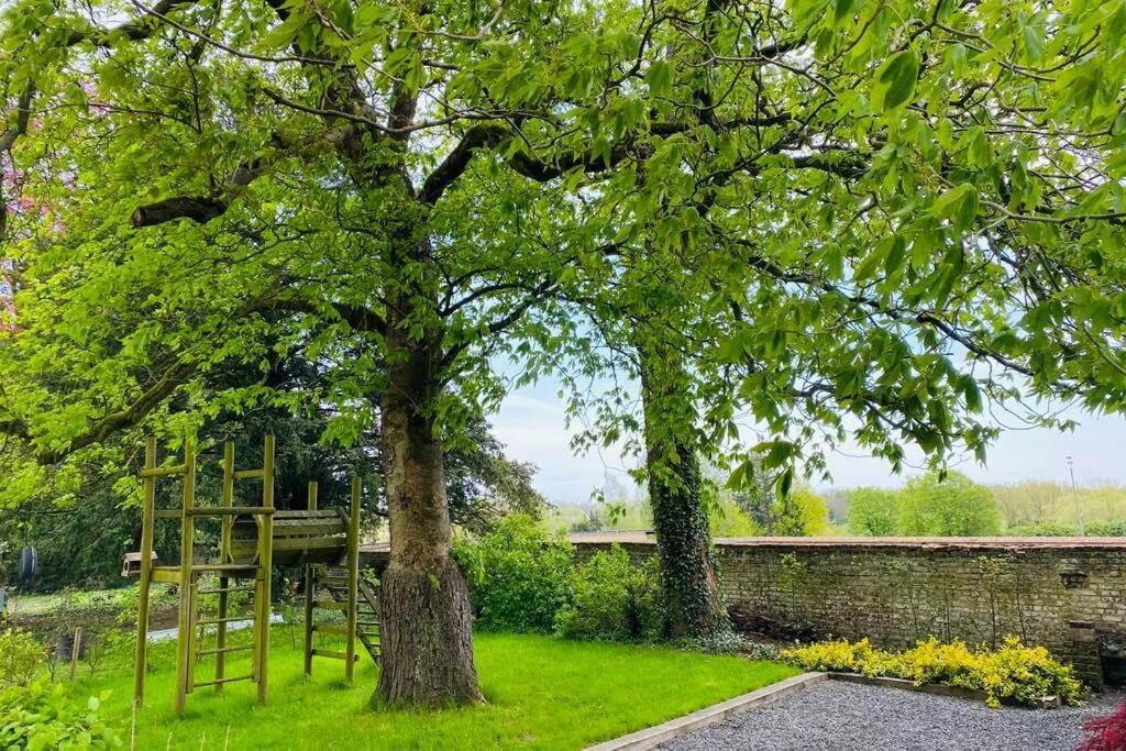 Cosy House In A Charming Village Beauvechain エクステリア 写真